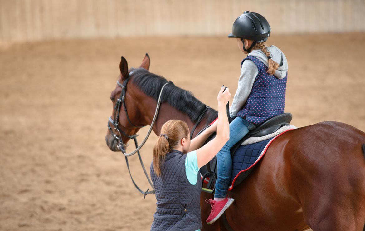 Monitor De Equinoterapia