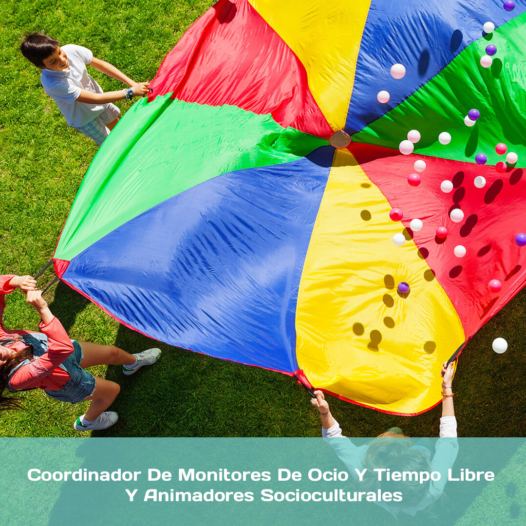 Coordinador De Monitores De Ocio Y Tiempo Libre Y Animadores Socioculturales