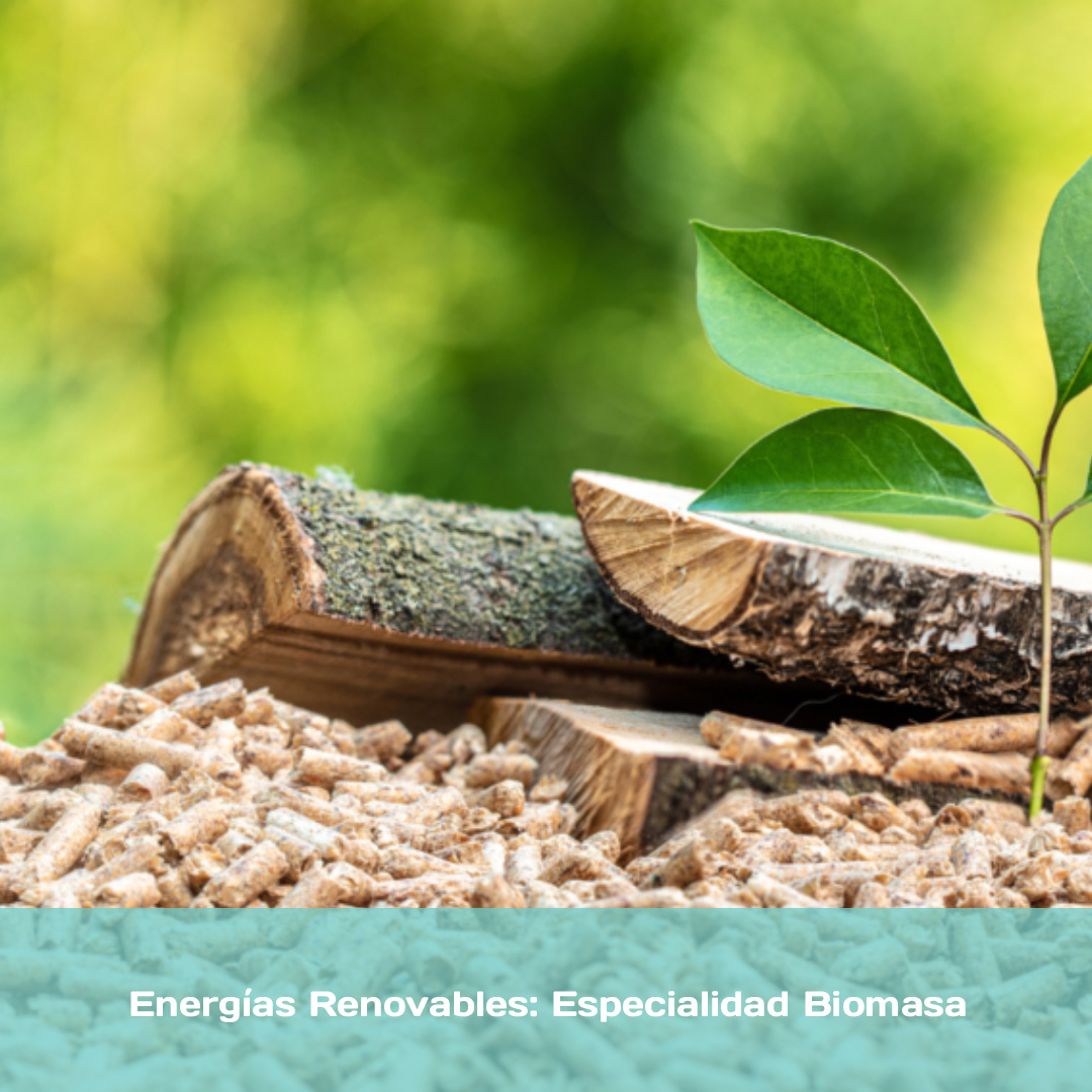 Energías Renovables: Especialidad Biomasa