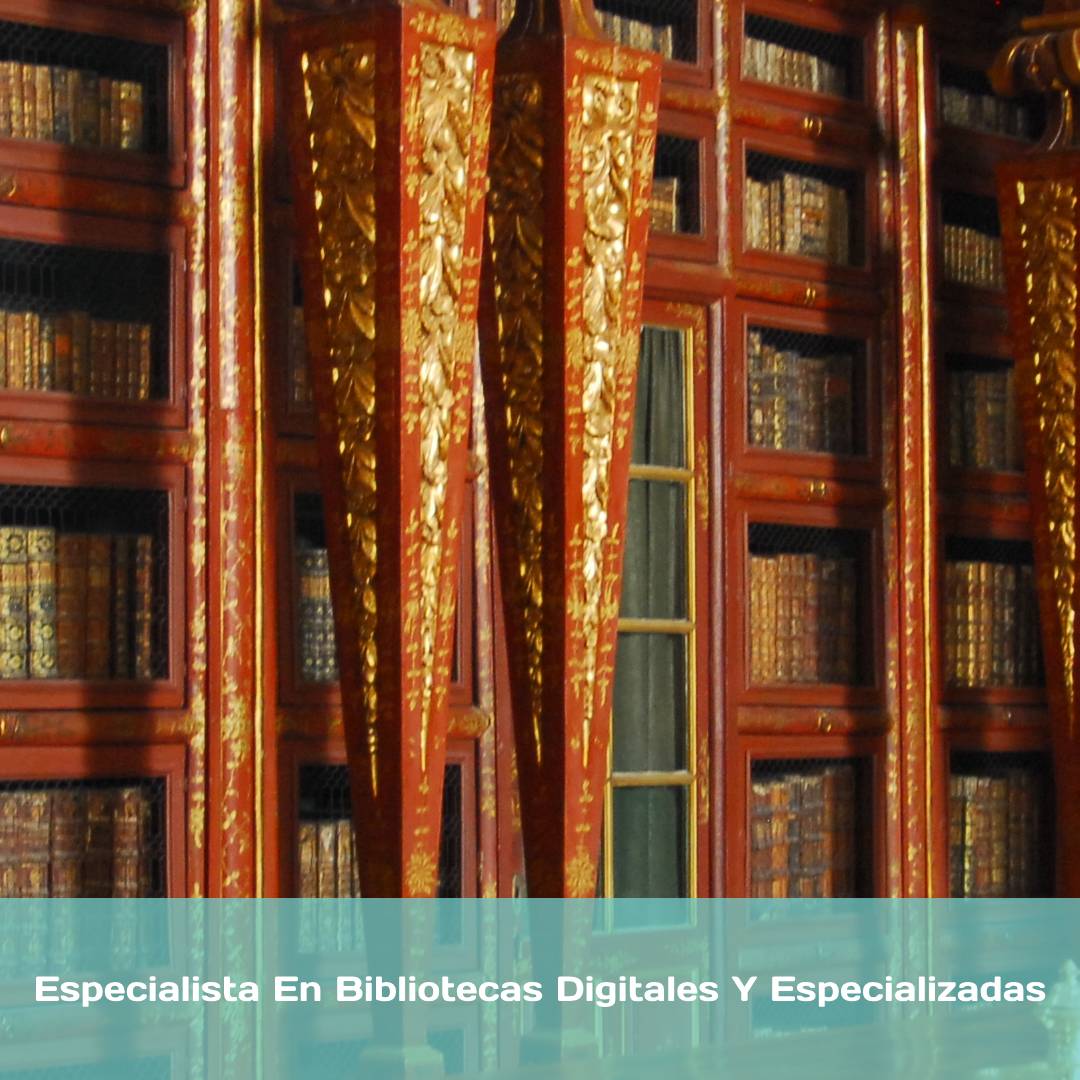 Especialista En Bibliotecas Digitales Y Especializadas