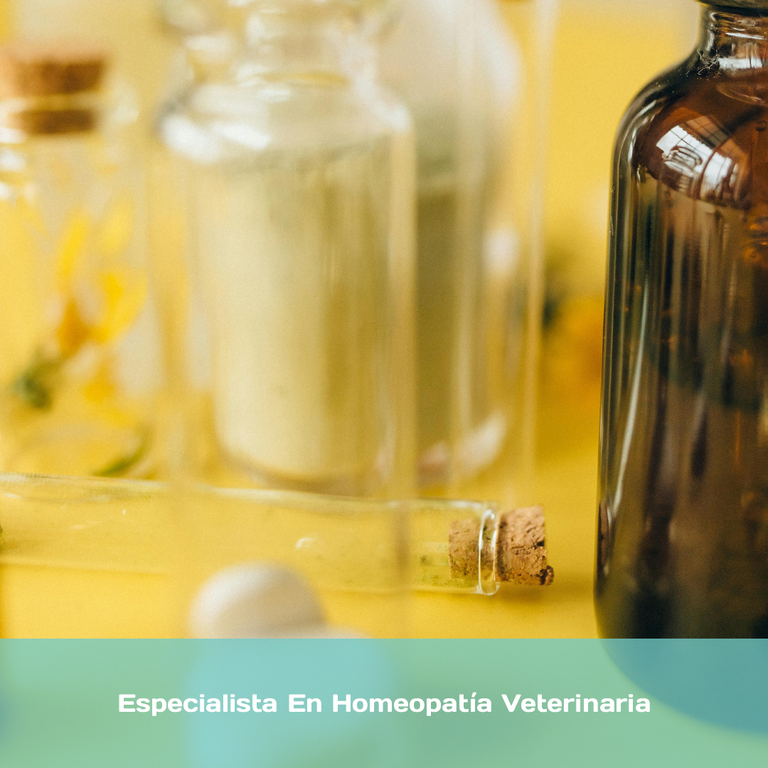 Especialista En Homeopatía Veterinaria