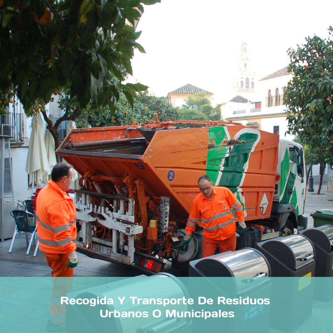 Recogida Y Transporte De Residuos Urbanos O Municipales
