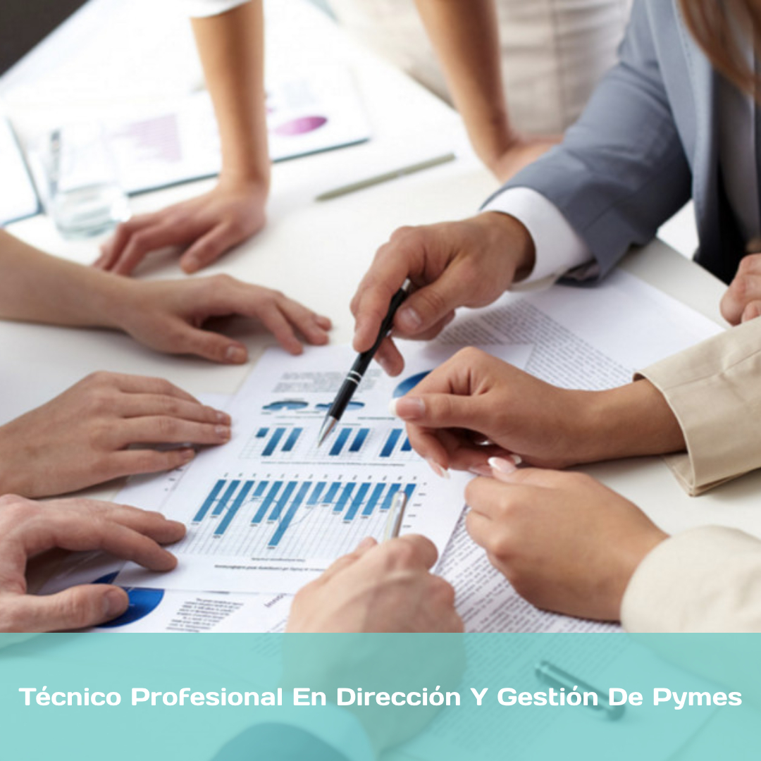 Técnico Profesional En Dirección Y Gestión De Pymes