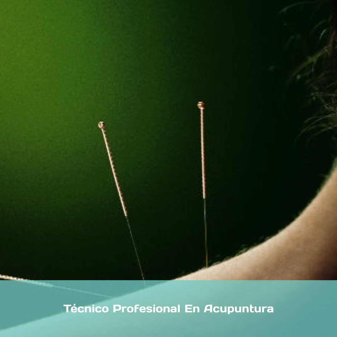 Técnico Profesional En Acupuntura