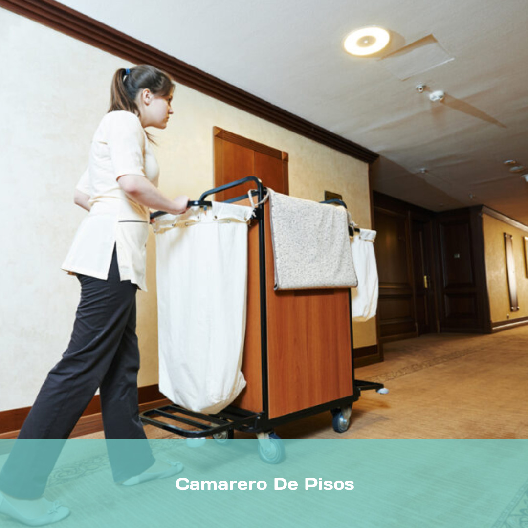 Camarero De Pisos