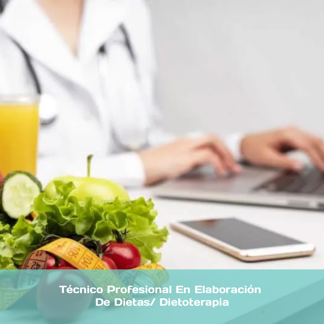 Técnico Profesional En Elaboración De Dietas/ Dietoterapia