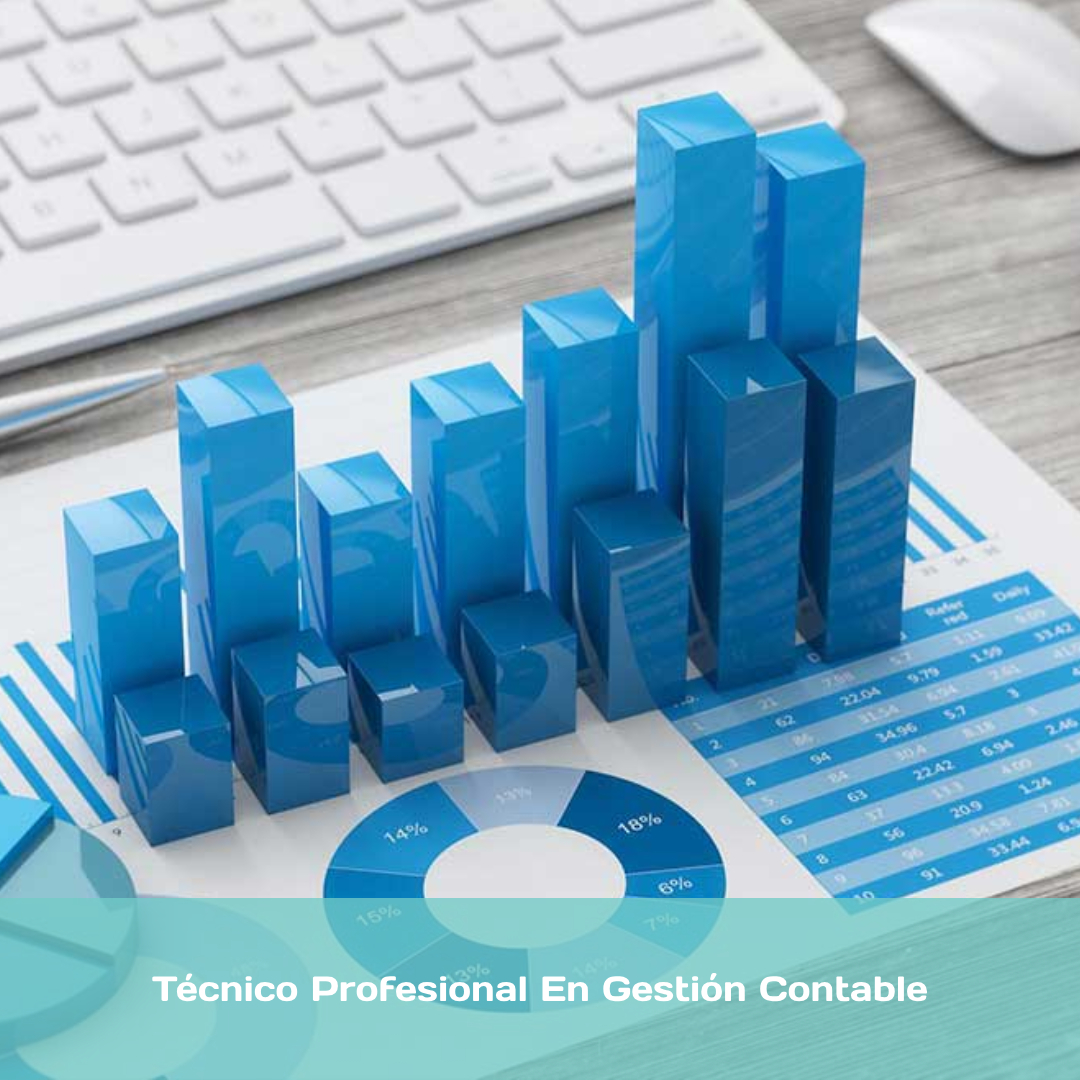 Técnico Profesional En Gestión Contable