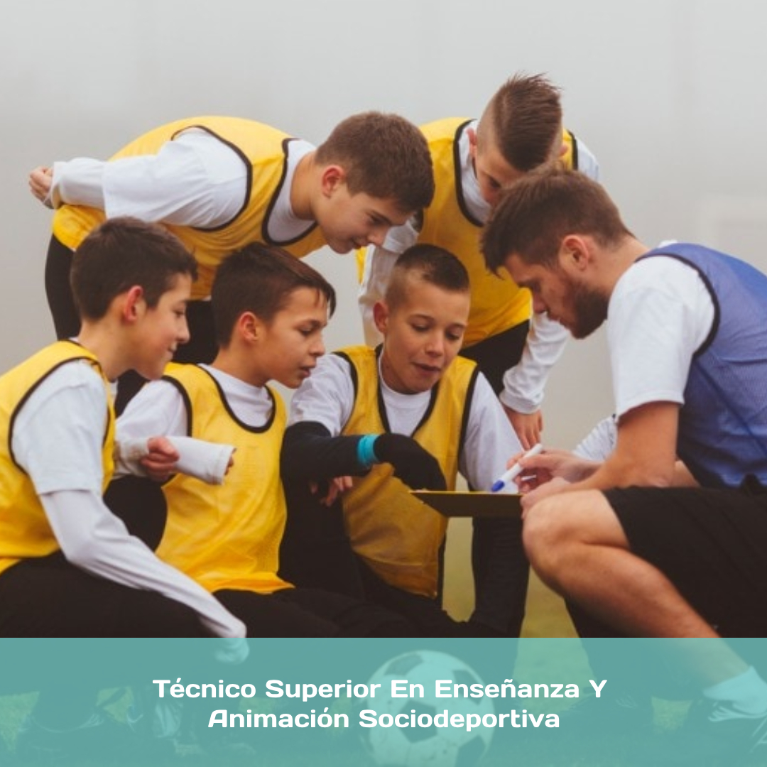 Técnico Superior En Enseñanza Y Animación Sociodeportiva