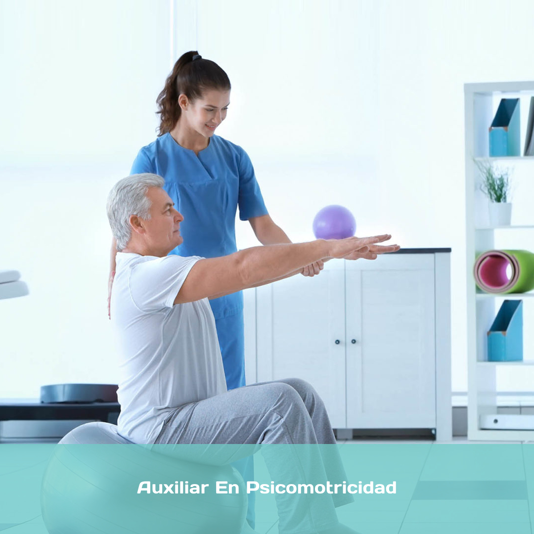 Auxiliar En Psicomotricidad