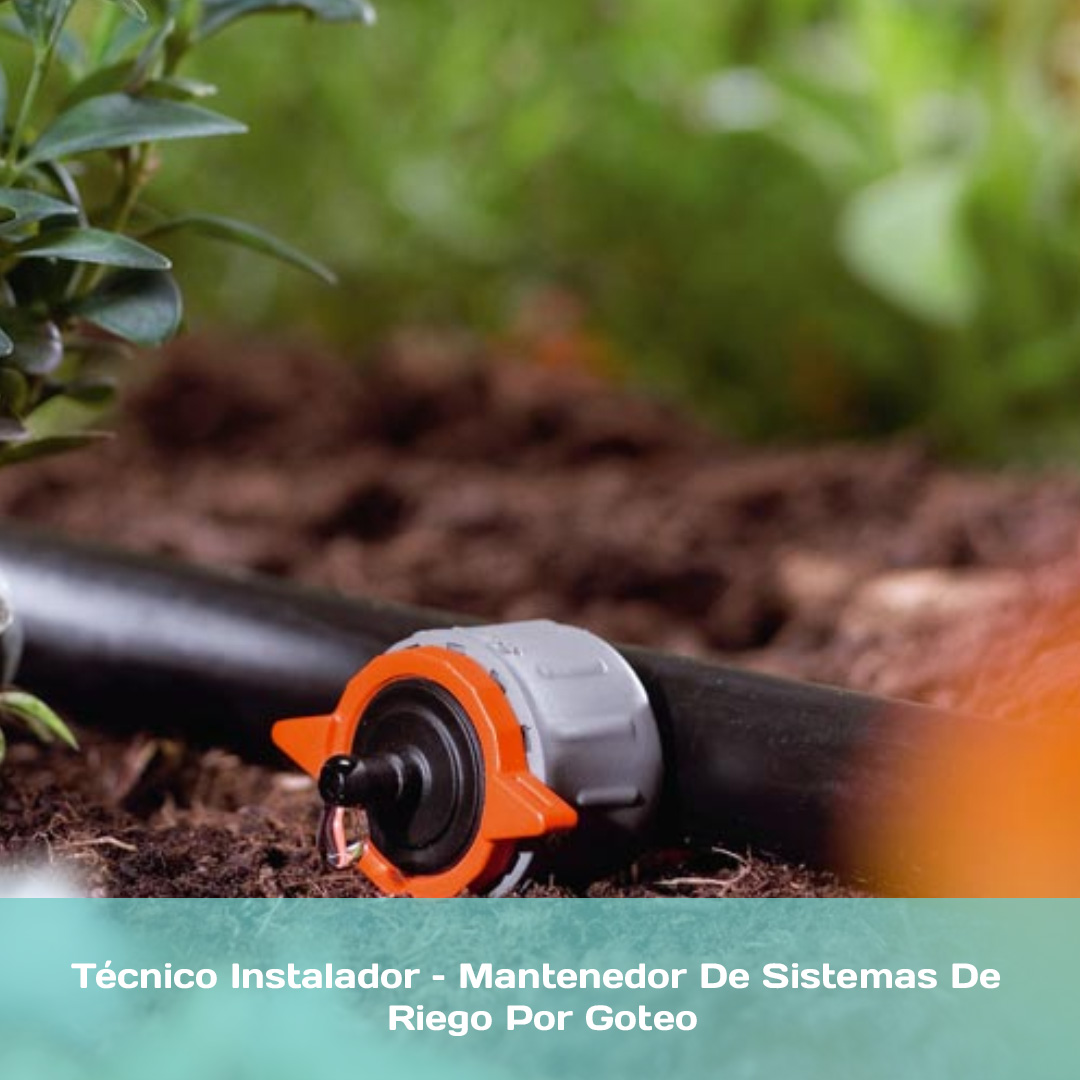 Técnico Instalador – Mantenedor De Sistemas De Riego Por Goteo